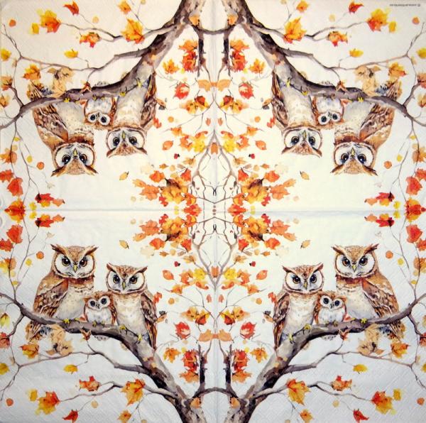 116 Owls - ply - Kalamazoo - CS - 24x24cm